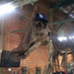 Meet your Posher, Lin